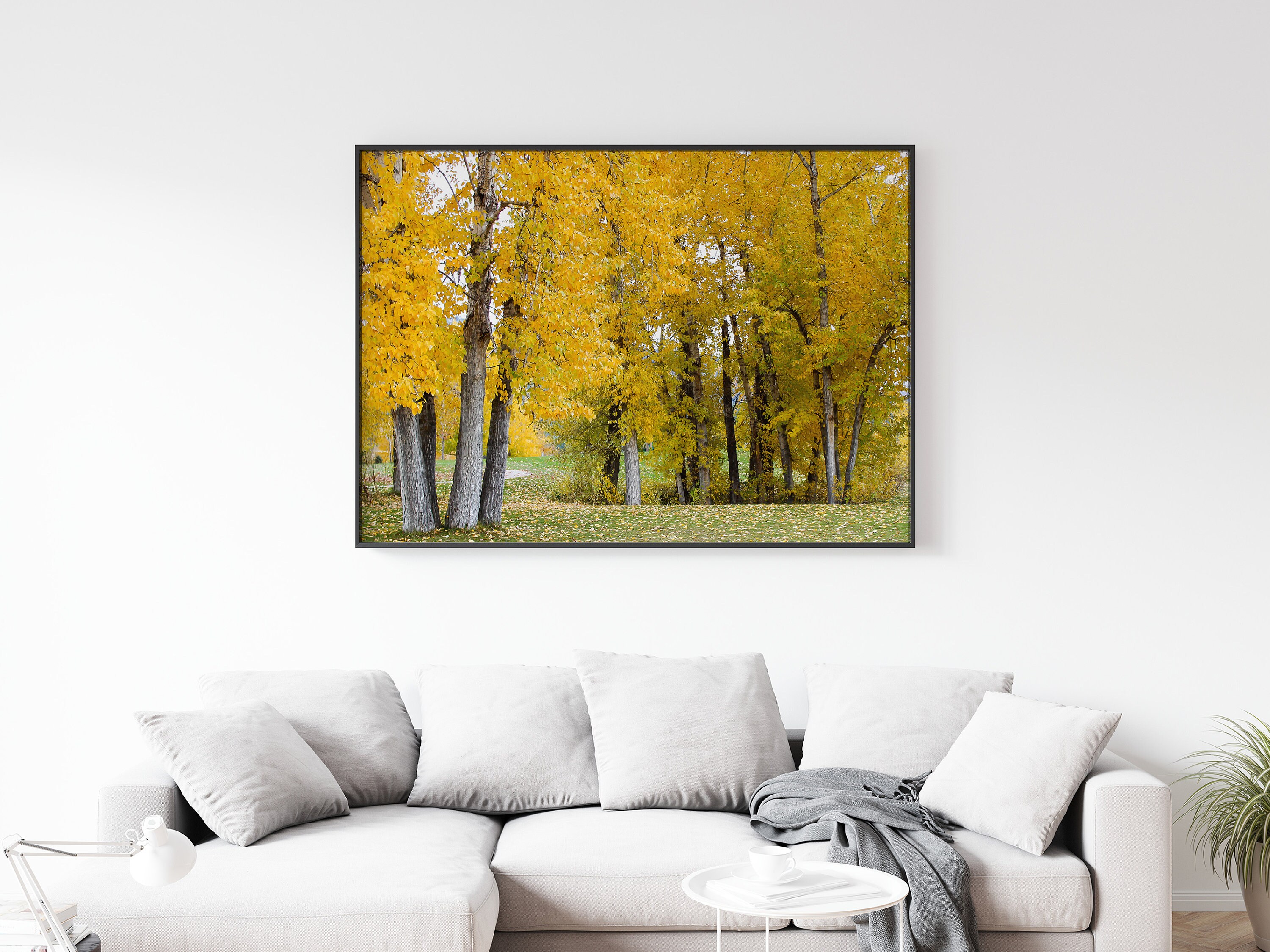 Printable Wall Art Yellow Trees in Fall Digital Photography Etsy