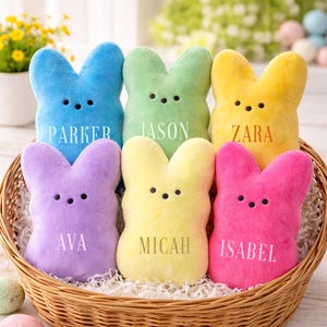 May include: A wicker basket filled with six plush bunny-shaped toys in various pastel colors: blue, green, yellow, purple, light yellow, and pink. Each bunny has a name embroidered on its front: Parker, Jason, Zara, Ava, Micah, and Isabel.