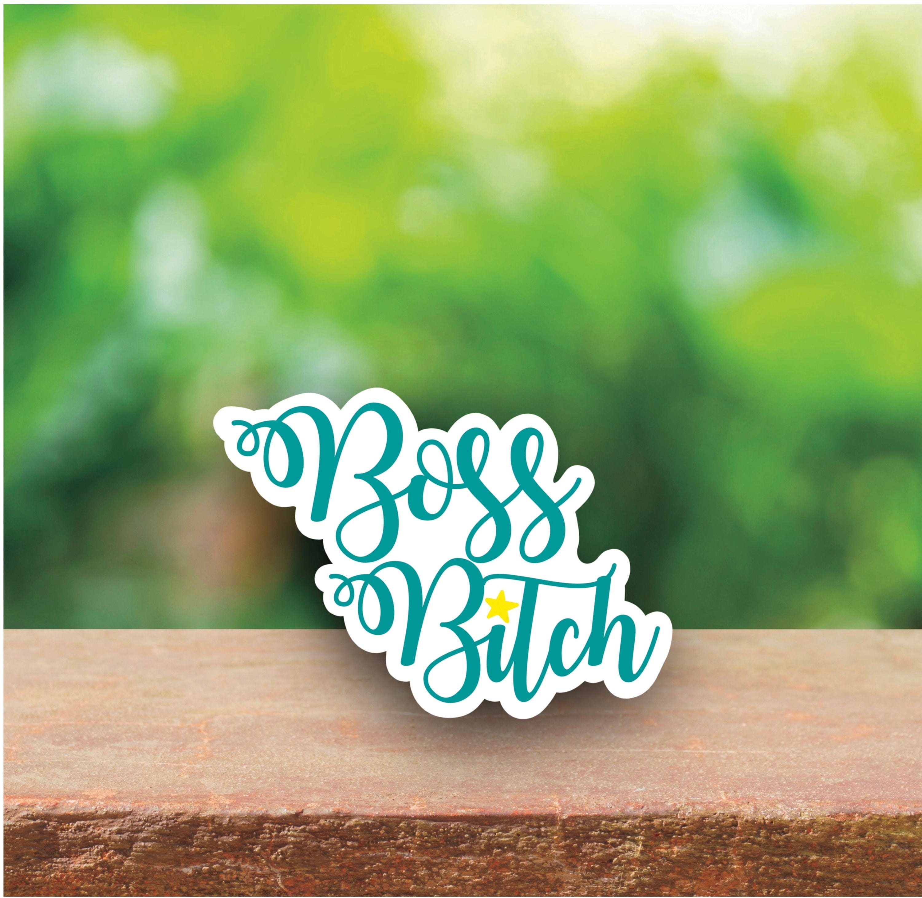 Bitch Skateboard - Etsy