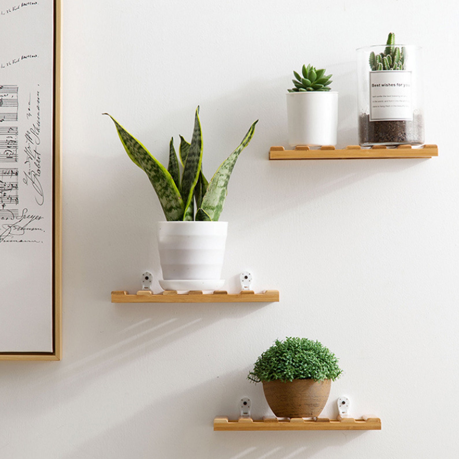 Small Floating Wood Shelves Rectangle Wood Plants Shelves Etsy