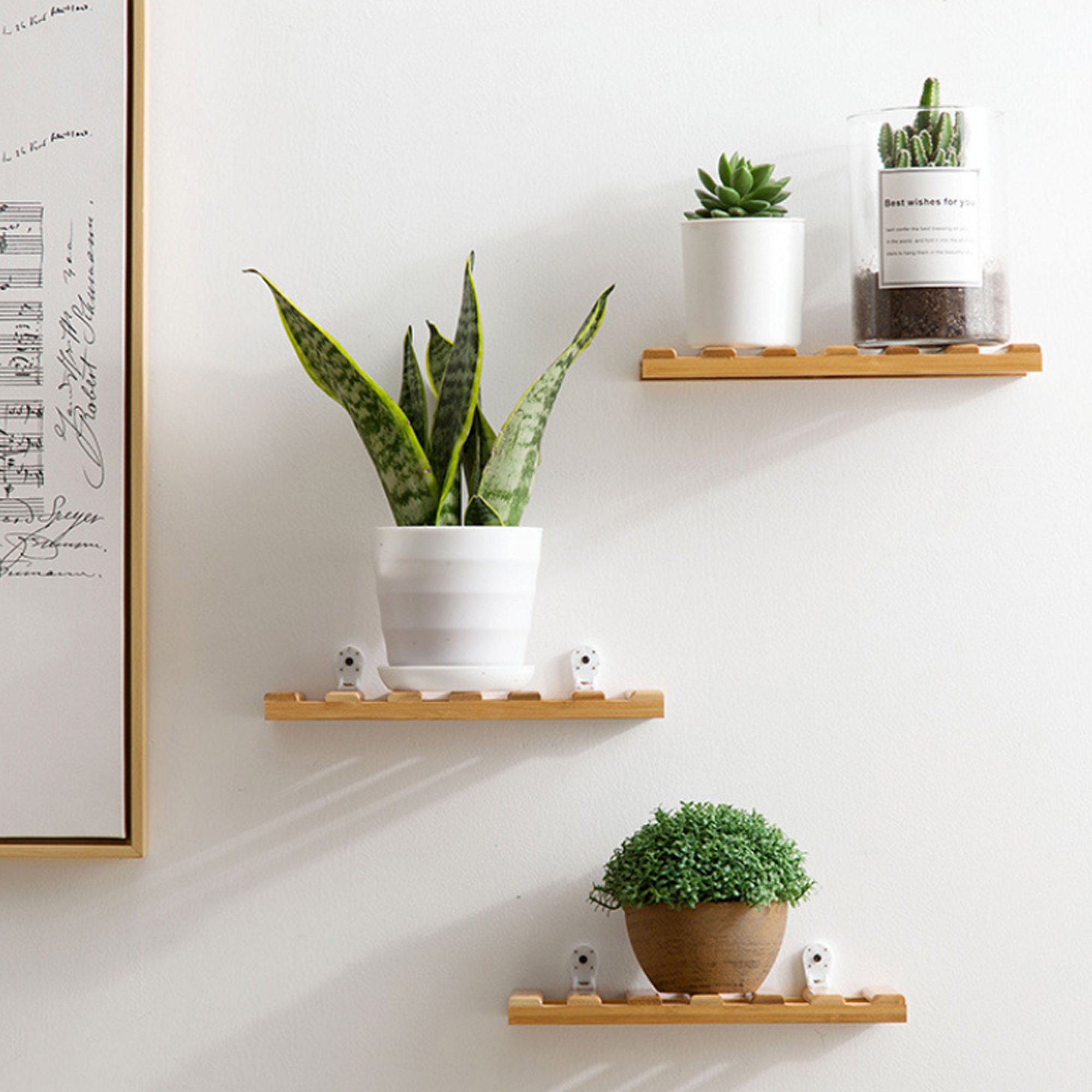Small Floating Wood Shelves Rectangle Wood Plants Shelves Etsy