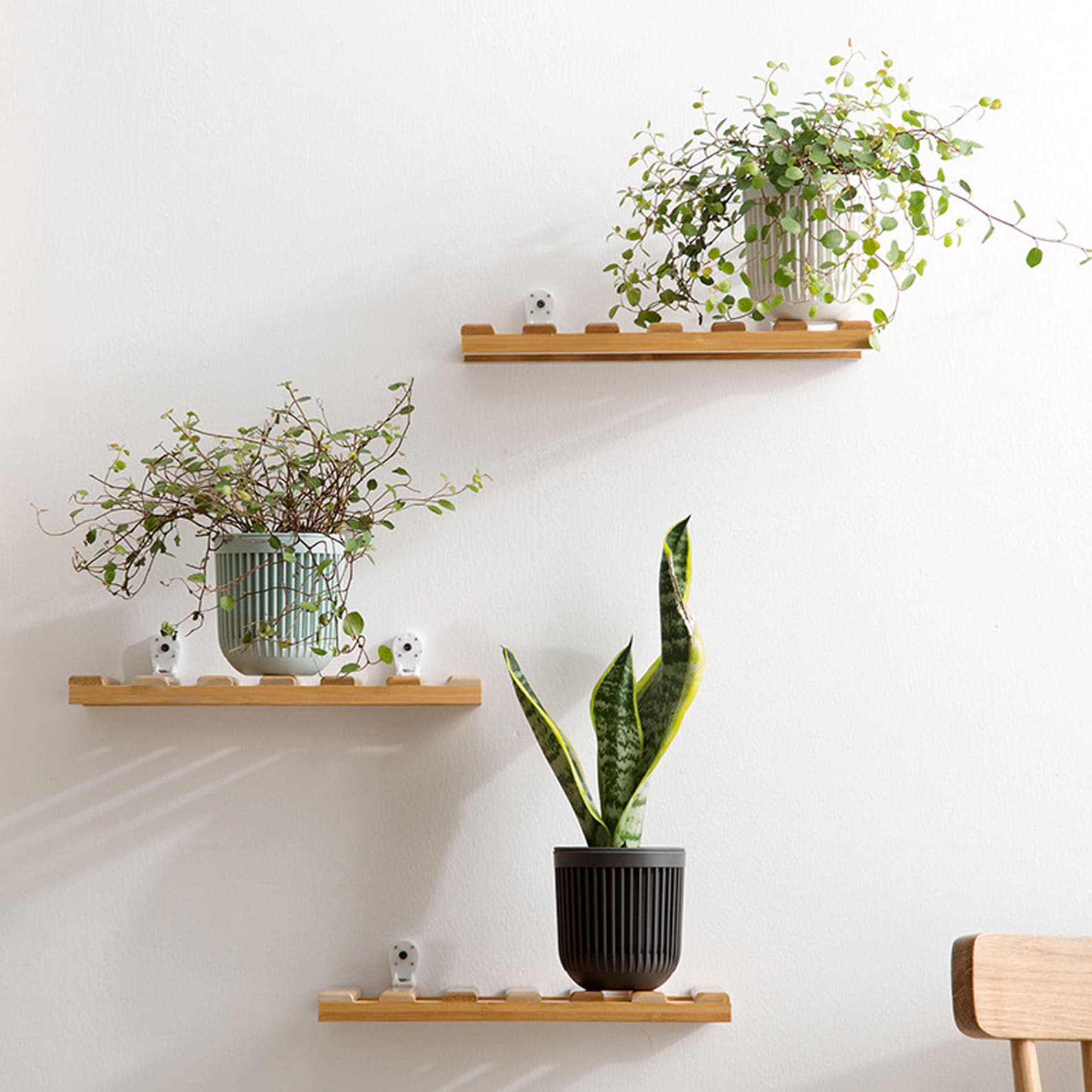 Small Floating Wood Shelves Rectangle Wood Plants Shelves Etsy