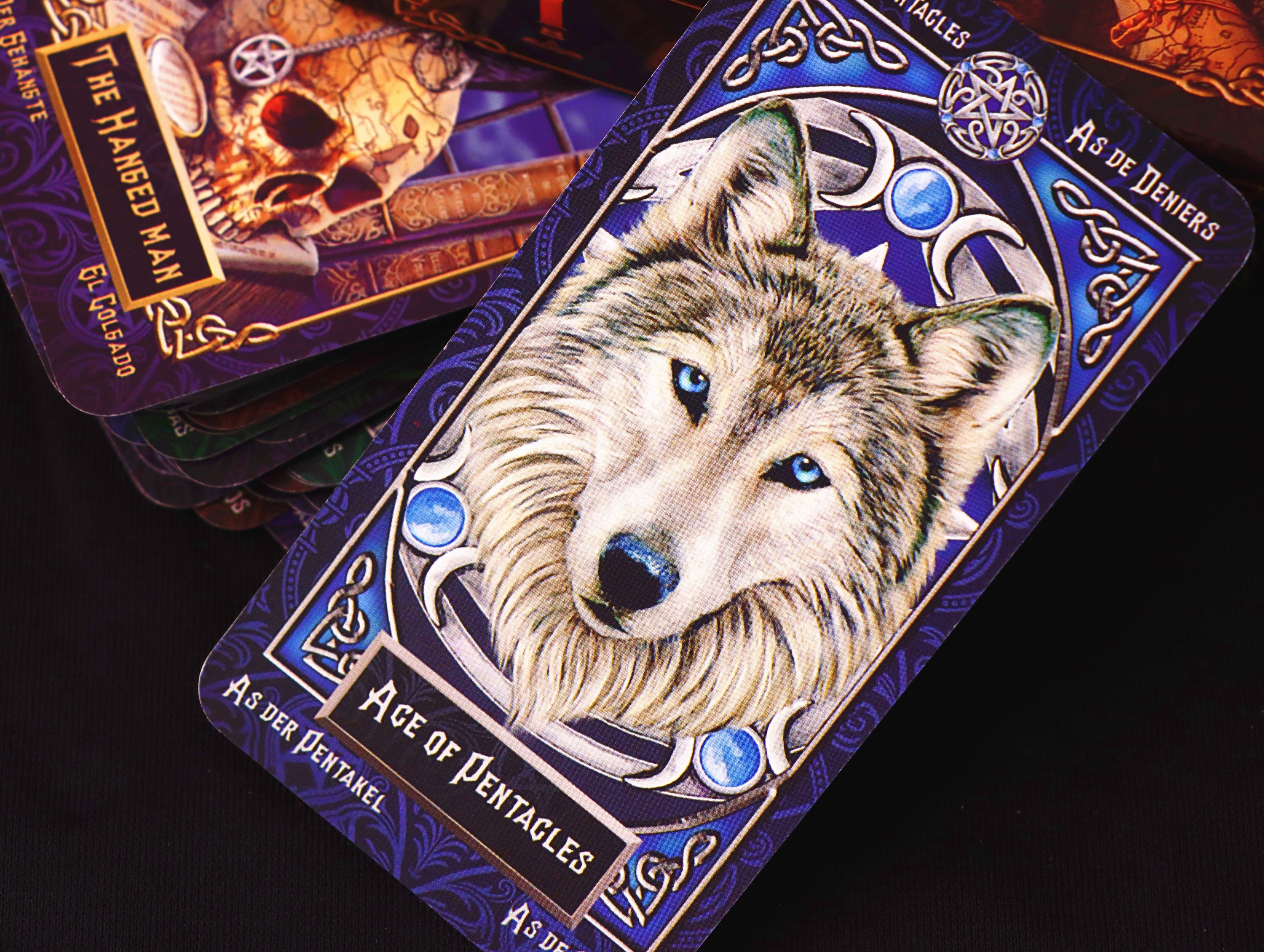 Familiars Tarot Deck with book Beautiful tarot deck Cat Etsy