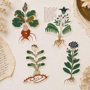 Op de afbeelding: Vier gestanste stickers met botanische illustraties van planten met wortels. Eén sticker bevat een blok handgeschreven tekst. De planten zijn afgebeeld in tinten groen, bruin, blauw en crème met gedetailleerde wortelsystemen en bladeren.