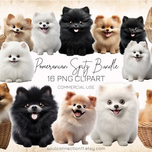 Pommeren spits PNG clipart bundel, schattige honden clipart, sublimatie design, digitale sticker, spits print, commercieel gebruik, dieren clipart
