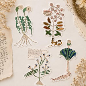 May include: Four die-cut stickers featuring botanical illustrations of imaginary plants. One shows two white flowers with green stems, another a complex plant with spiky leaves, a third with bell-shaped flowers and text, and the last a fan-shaped plant.