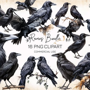 Raven PNG Clipart, Gothic Images Bundle, Birds Clipart, Witch Clipart, Sublimation Design, Raven Digital Sticker, Ravens Print