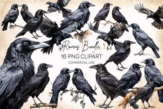 Gothic Raven PNG Clipart Bundle, Witchcraft Images (Digital)