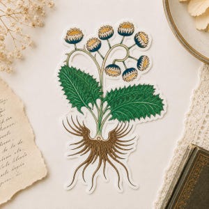May include: A die-cut sticker featuring a botanical illustration of a plant with brown roots, serrated green leaves, and multiple small, round, blue-petaled flowers with yellow centres arranged on thin, curved stems against a white background.