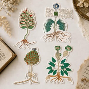 Könnte beinhalten: Vier gestanzte Aufkleber mit botanischen Illustrationen imaginärer Pflanzen. Die Designs umfassen eine rot-grün gestreifte Pflanze, eine grünblättrige Pflanze mit blauer Blüte und Text, eine texturierte, fruchtartige Pflanze und eine grünblättrige Pflanze.
