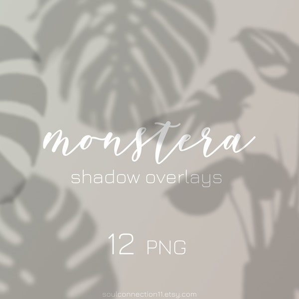 12 MONSTERA Shadow Overlays PNG, Monstera Leaf Overlay, Monstera Clipart, Photography Greenery Overlays, Botanical Overlays, Floral Overlays