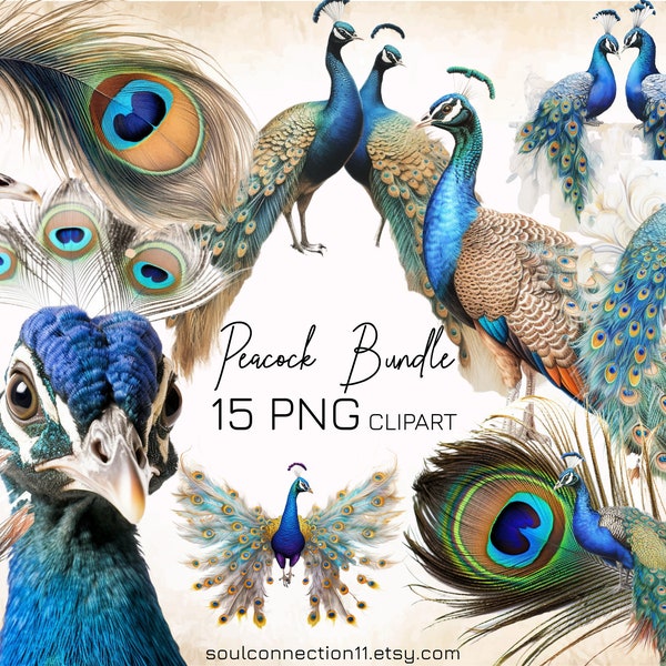 Peacock PNG Clipart, Peacocks and Feathers Bundle, Sublimation Design, Scrapbooking, Paradise Bird Clipart, Nautical Clipart, Commercial Use