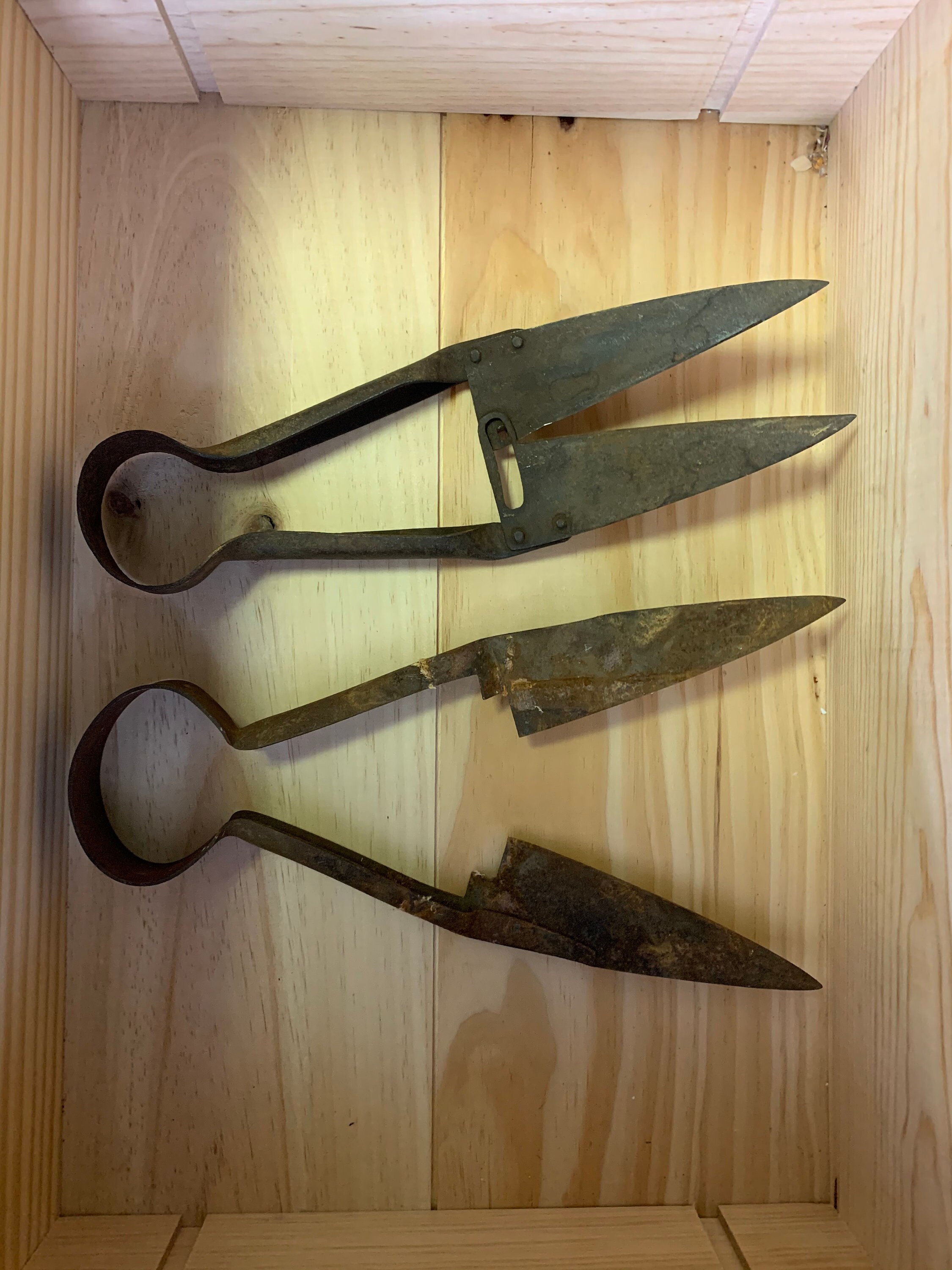 Oster Sheep Shears for sale 44 used Oster Sheep Shears