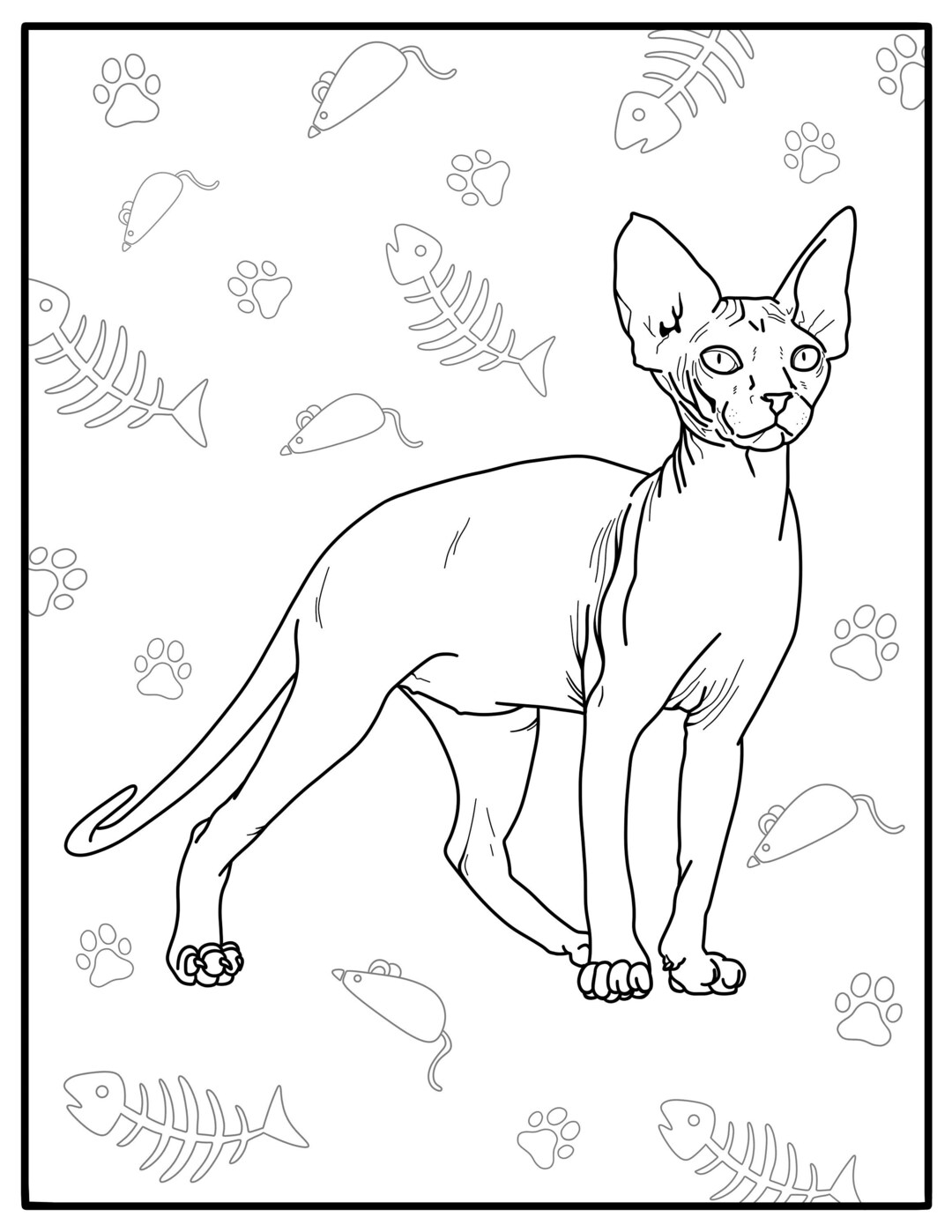Sphynx Cat Adult Coloring Page Digital Etsy