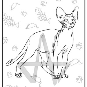 Puede incluir: Un dibujo en blanco y negro de un gato sin pelo de pie sobre una estrella de cinco puntas. El gato está rodeado de huellas de patas, espinas de pescado y ratones de juguete.