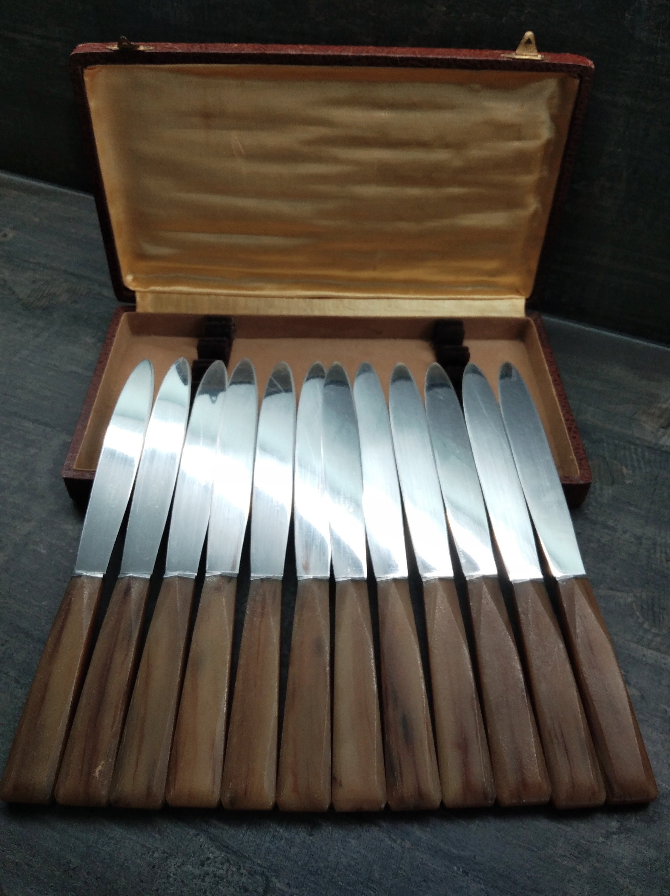 12 Couteaux Manches Corne/Vintage 12 Kitchen Stainless Steel Knives, Horn Handle in Original Present