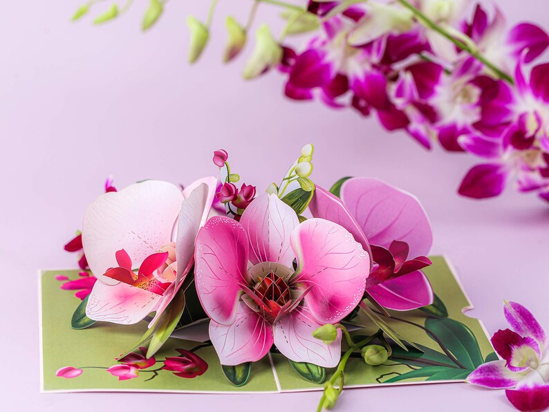 Pop Up Greeting Card Orchid Flower 3D Cards For Birthday image 6