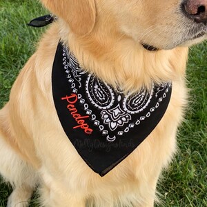 May include: A golden retriever wearing a black bandana with a white paisley design. The bandana has the name "Penelope" in red script and the text "Molly Designs Finds". The dog is sitting on green grass.