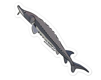Lake Sturgeon Sticker