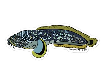Splendid Toadfish Sticker
