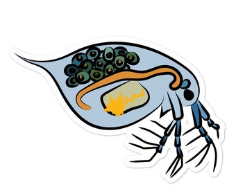 Daphnia Sticker