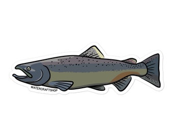 Chinook Salmon Sticker