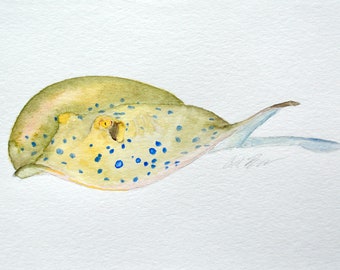 Bluespotted Ribbontail Ray
