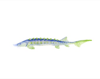Lake Sturgeon Watercolor Print