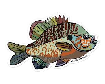 Pumpkinseed Sunfish/ Fish Sticker