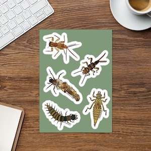 Macroinvertebrate Sticker Pack