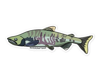 Chum Salmon Sticker