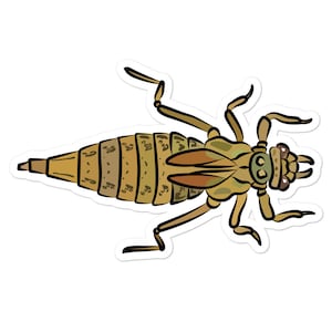 Dragonfly Nymph Sticker