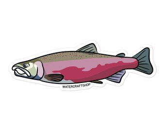 Coho Salmon Sticker