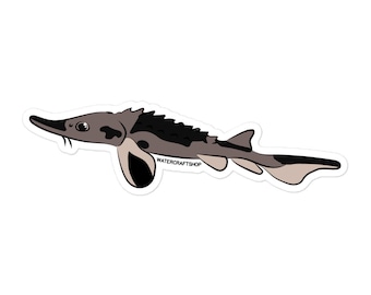 Juvenile Lake Sturgeon