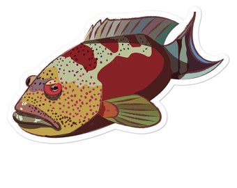 Lyretail Grouper Vinyl Fish Sticker