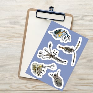 Zooplankton Sticker Pack