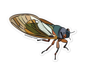 Cicada Sticker
