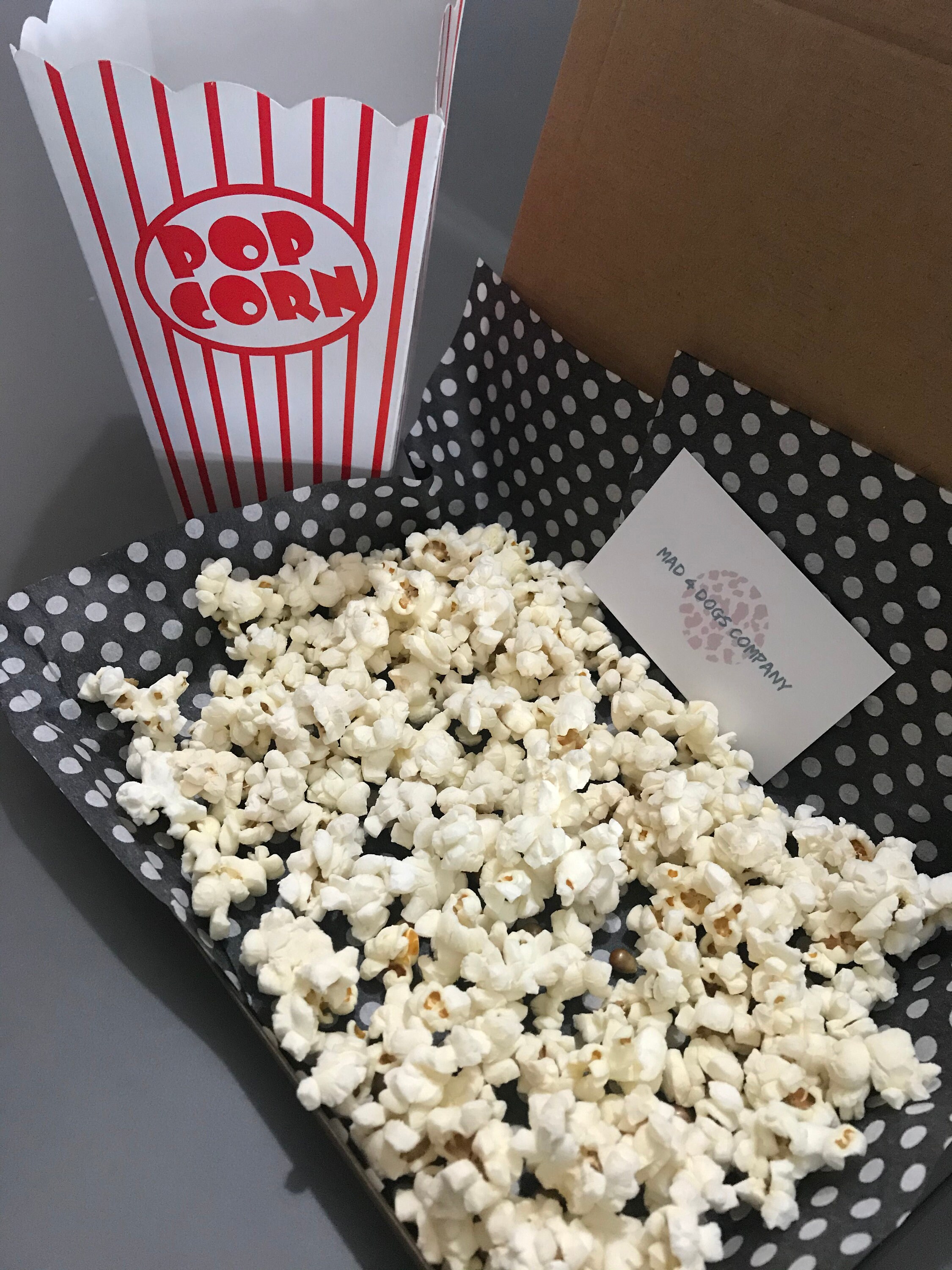 Dog popcorn dog treats dog treat box large treat box dog Etsy