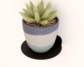 Minimalist Metal Circular Floating Shelf: Indoor Plant Display