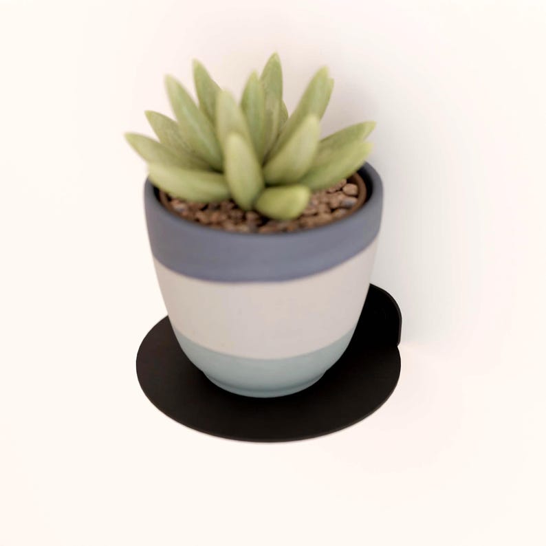 Minimalist Metal Circular Floating Shelf: Indoor Plant Display image 2