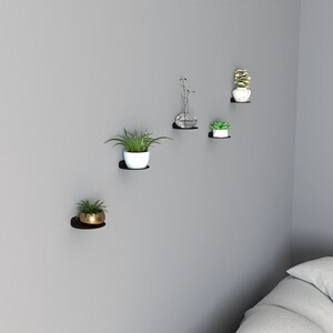 May include: Five black floating shelves mounted on a gray wall, each holding a potted plant. The plants include succulents, a small tree, and a vase with greenery.
