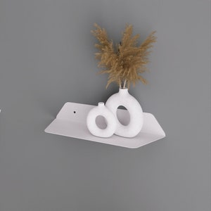 Minimalist Floating Metal Wall Shelf: Modern Plant Display