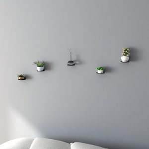 May include: Five small potted plants on black wall shelves. The shelves are mounted on a gray wall. The plants are in white pots and include succulents and greenery.