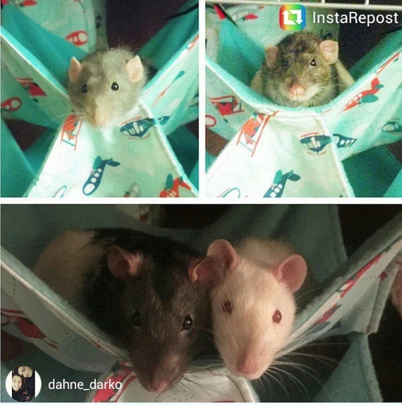 Hamaca de rata decker doble, ardilla erizo acogedor, hamaca ferret  colgante, dosel de chinchilla azulado, cama de mascotas de setas marrón,  juguete