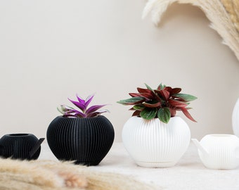 Plant Pot Cactus Plant Pot Black Plant Pot White Plant Pot Succulent Garden Essential Perfect Gift For Plant Lovers