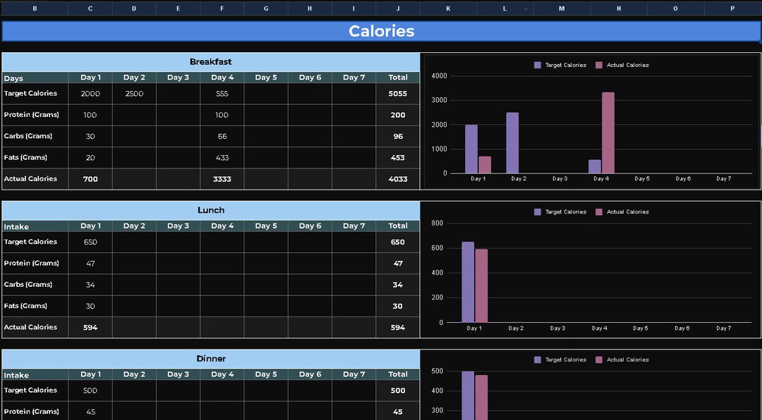 Fitness Tracker Template Workout Planner in Google Sheets Etsy