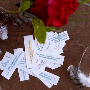 May include: A still-life arrangement featuring a red rose, scattered fortune slips with German text, and decorative feathers. A small glass jar with a candle and metal clasp is also present, all on a wooden surface.