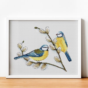 Puede incluir: Dos pájaros azules y amarillos posados en una rama con flores blancas. Los pájaros miran en direcciones diferentes. El fondo es gris claro.