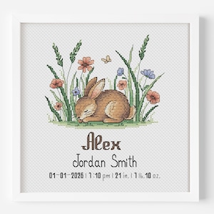 Peut inclure: Broderie au point de croix dans un cadre blanc. Un lapin brun se repose dans un champ de fleurs et d'herbe. Le nom "Alex" et "Jordan Smith" sont en dessous, avec la date, l'heure et les mesures: 53 cm et 737 grammes.