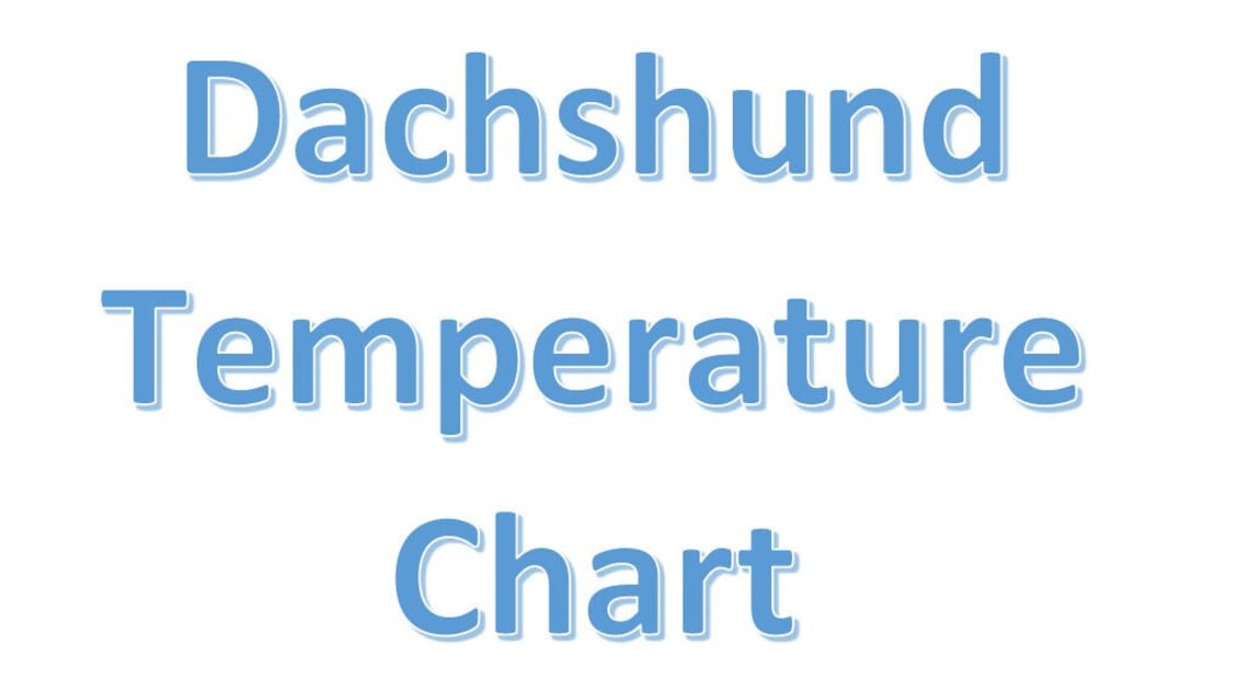 Dachshund Temperature Chart Etsy